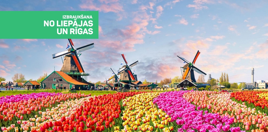 Цветущая Голландия - Парад цветов