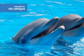 Delfīni, Jūras muzejs un miniatūru parks „Babilonas dārzi” Lietuvā