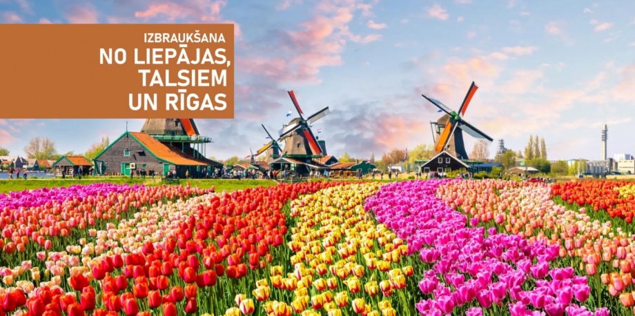 Цветущая Голландия