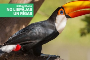 Захватывающая Германия для каждого и всех