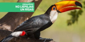 Aizraujošā Vācija ikvienam un visiem