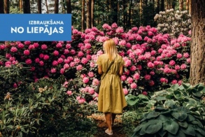 Сказка рододендров, код Да Винчи и горох в Горохе