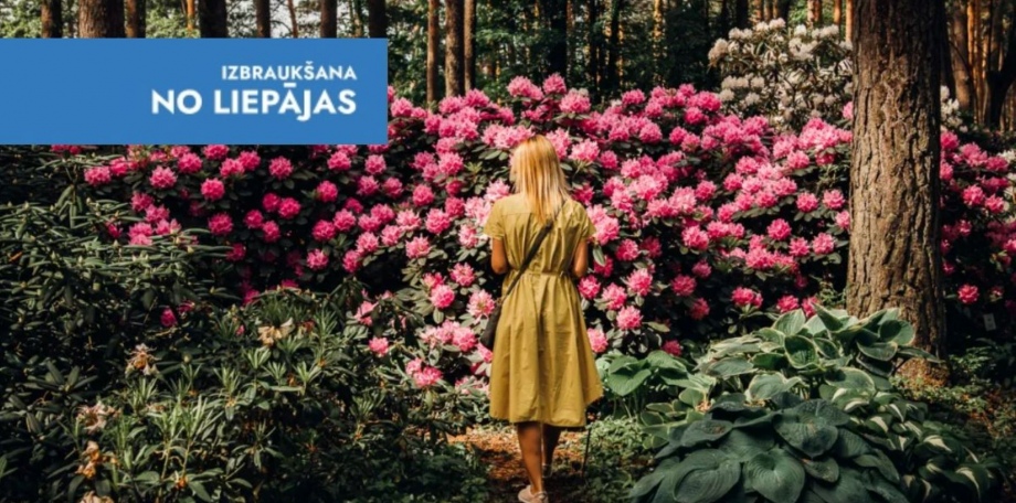 Rododendru pasaka, Da Vinči kods un zirņi Zirņos 