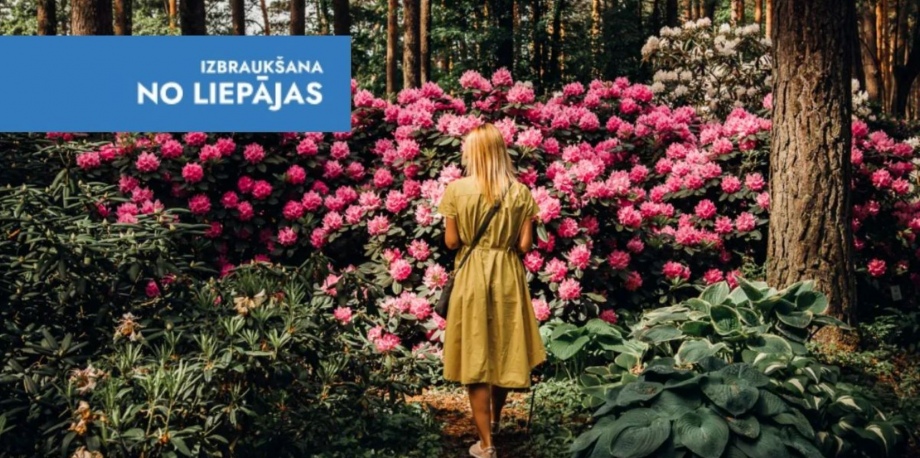 Сказка рододендров, код Да Винчи и горох в Горохе