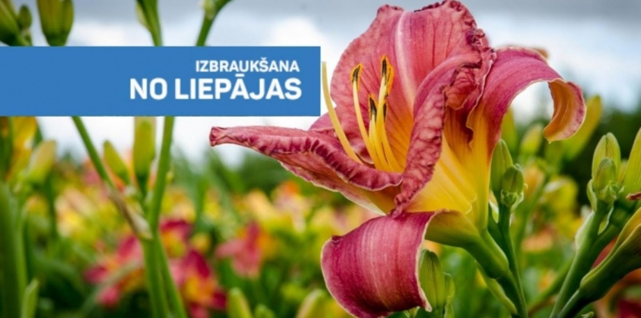 Ārlavas bānītī pēc Kundziņsiera un Dienlilliju vīns Nūrmuižā