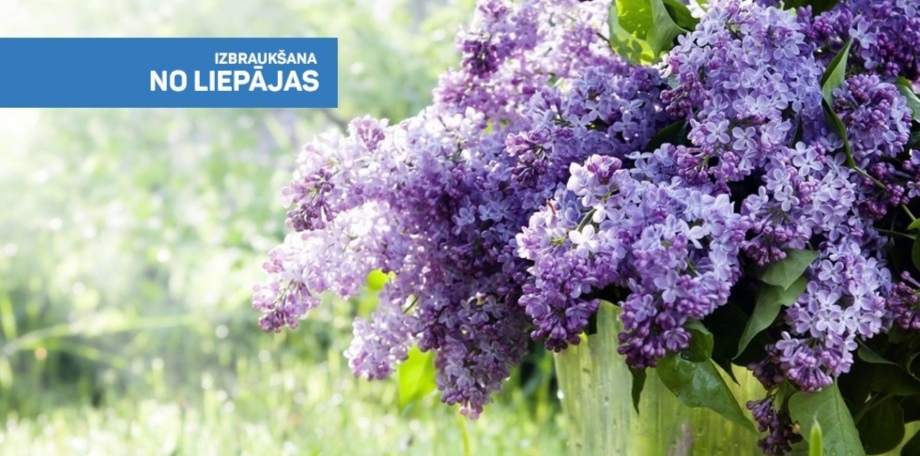 Ceriņziedu burvība Dobelē. Pokaiņu meža noslēpumi un šitaki sēnes Garīkās