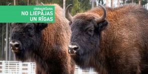 Belostokas noslēpumi: sumbri, tatāri un Polijas Versaļa