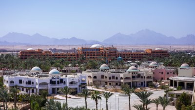 Calimera Blend Paradise