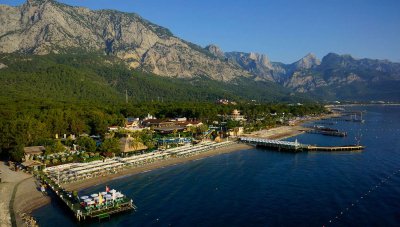 Gypsophila Club Marine