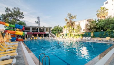 Kolibri - Attēls 10